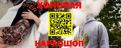 прущие крисы Гагарин