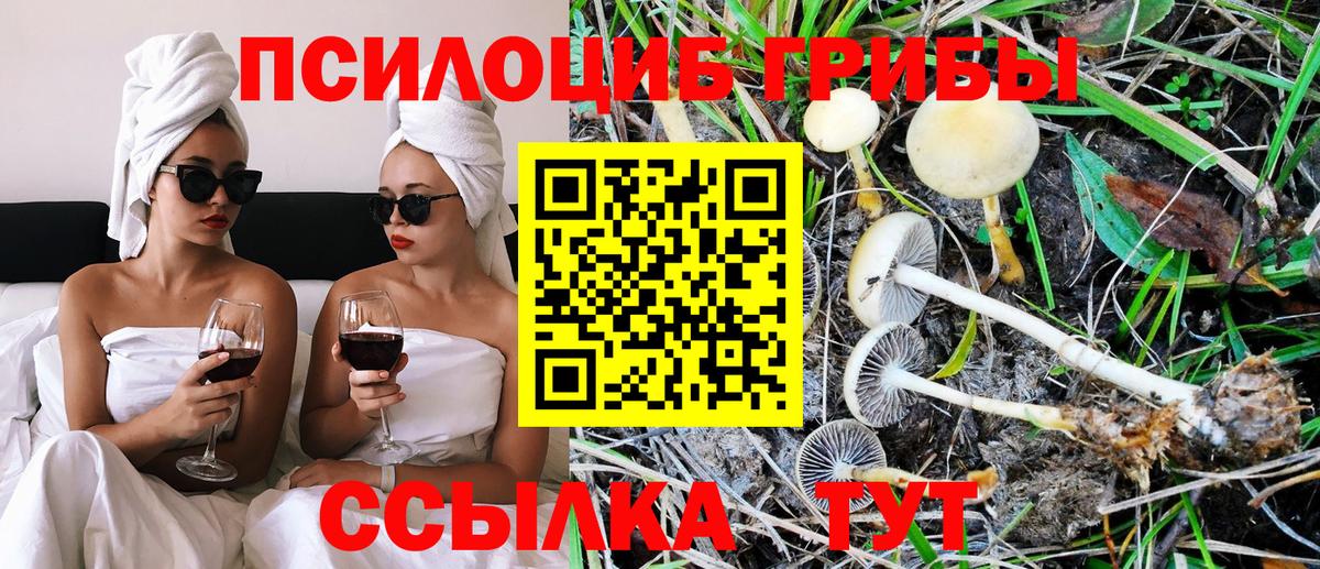 Галлюциногенные грибы мухоморы  Псилоцибиновые грибы прущие грибы  Вход с VPN  Моздок 